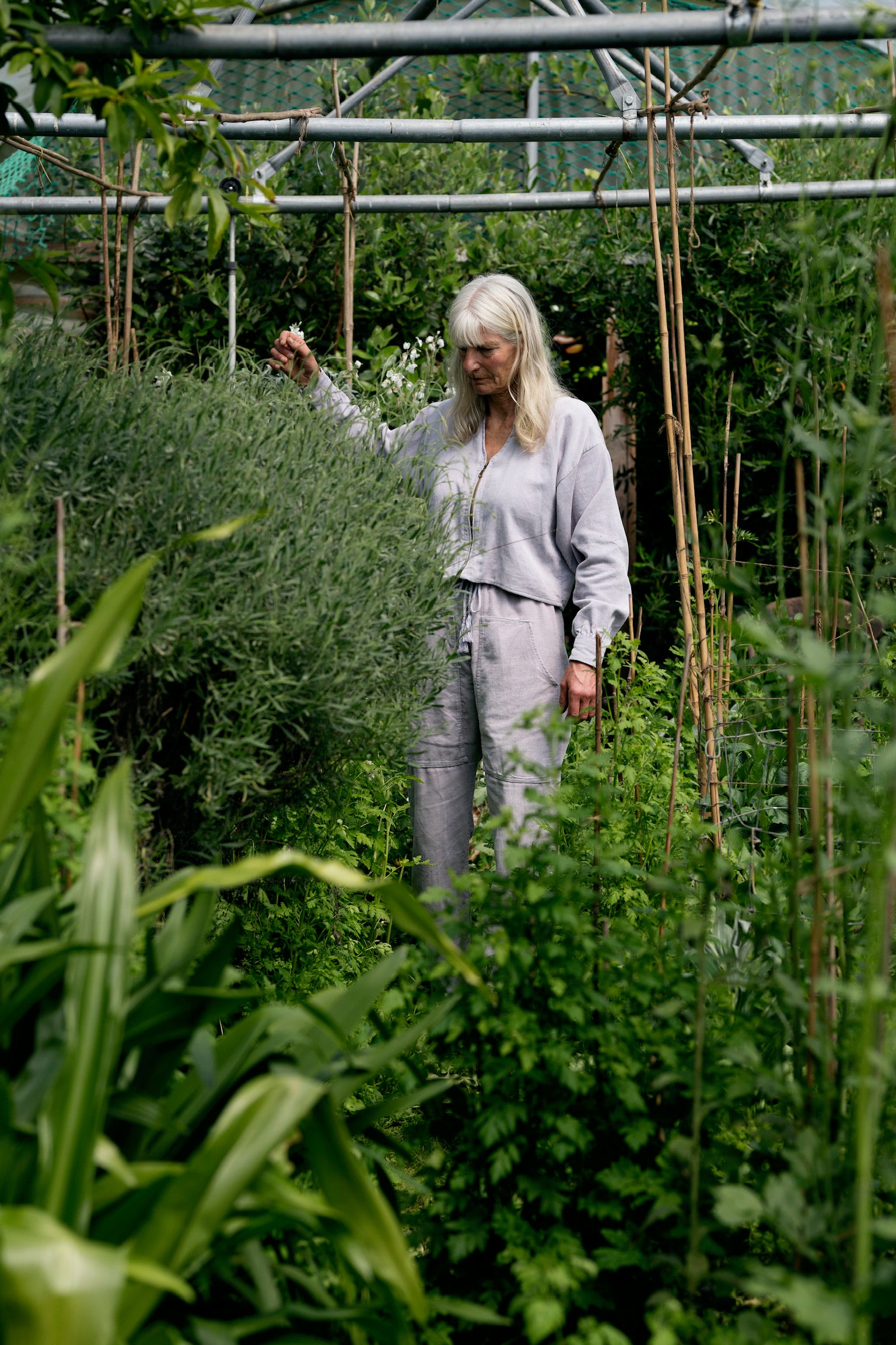 Painter Pants in Hemp Cord