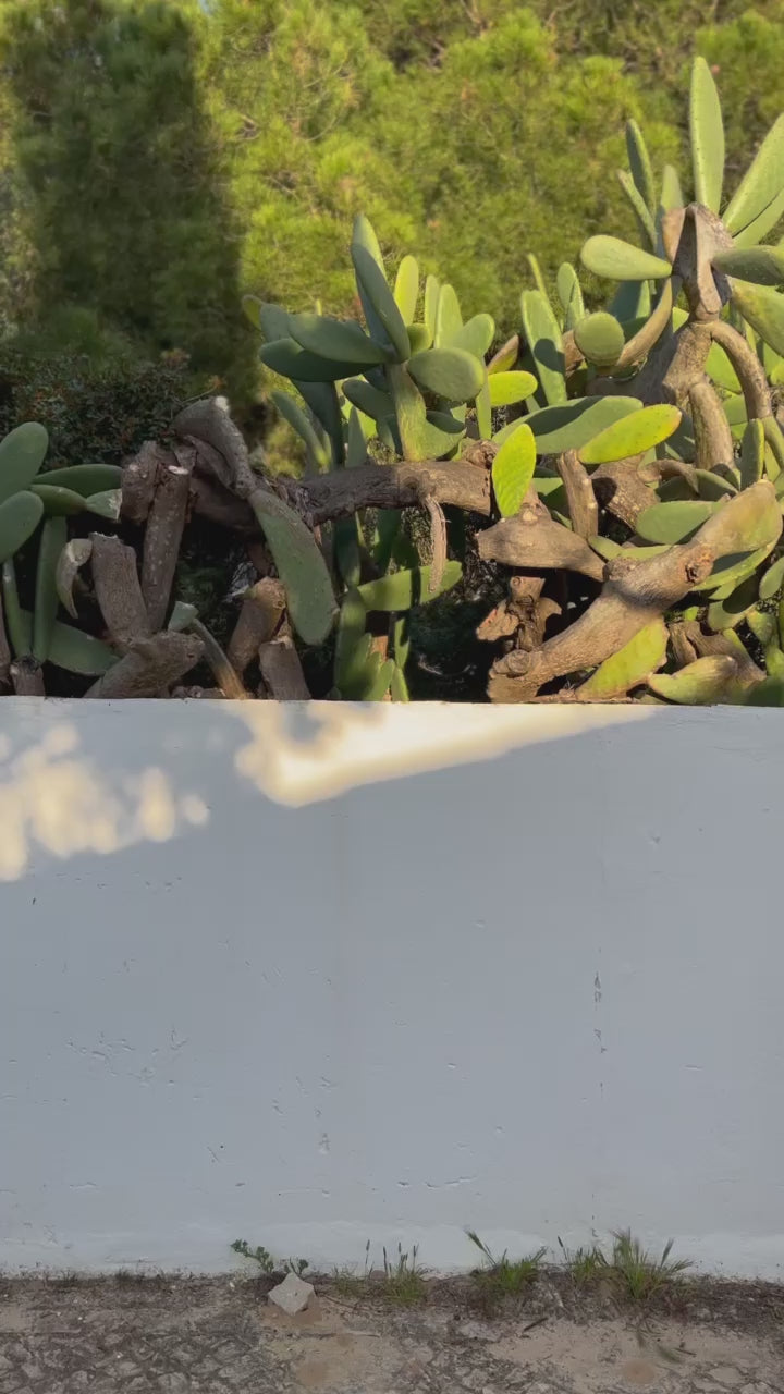 Nayla Dress ~ Bamboo